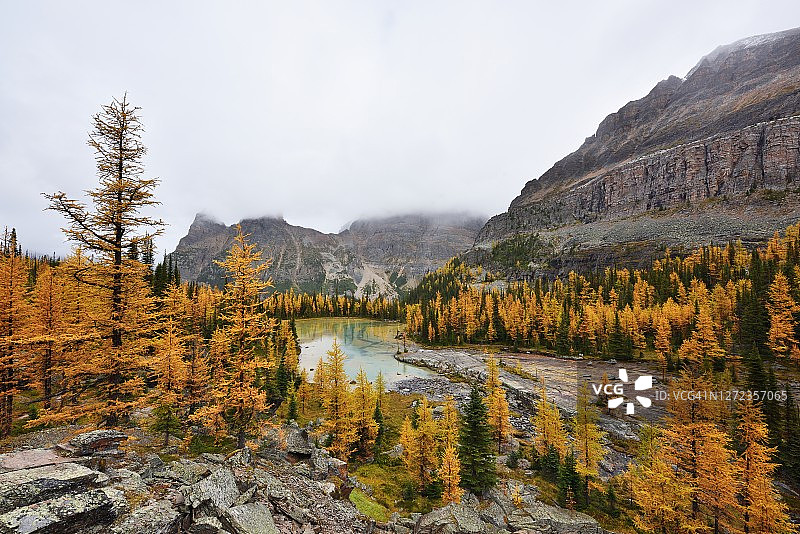 幽鹤国家公园欧帕宾高原小径和欧哈拉湖图片素材