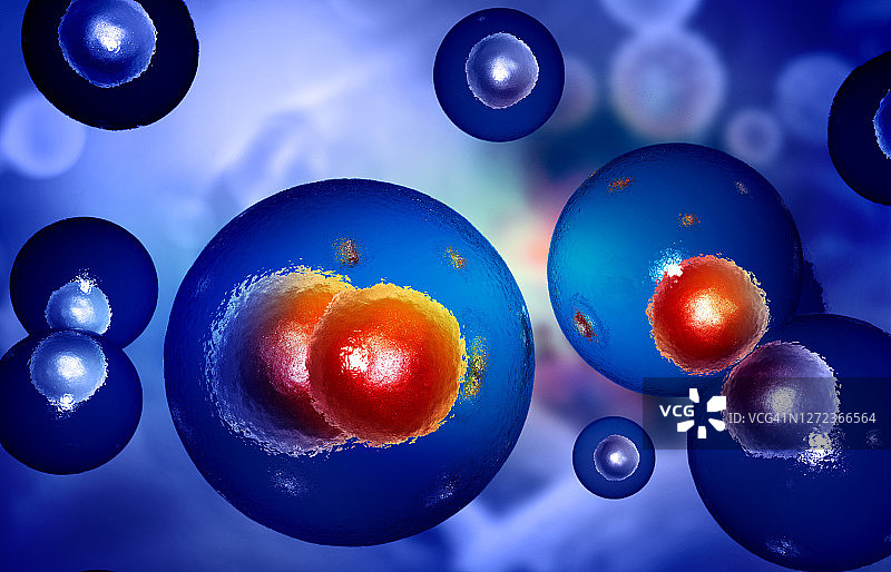 人类细胞图片素材