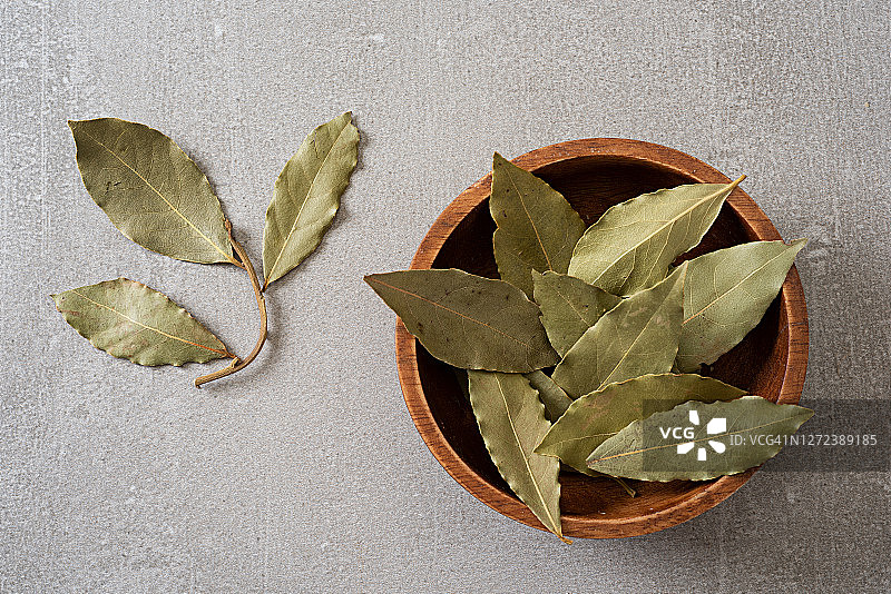 完整月桂叶图片素材