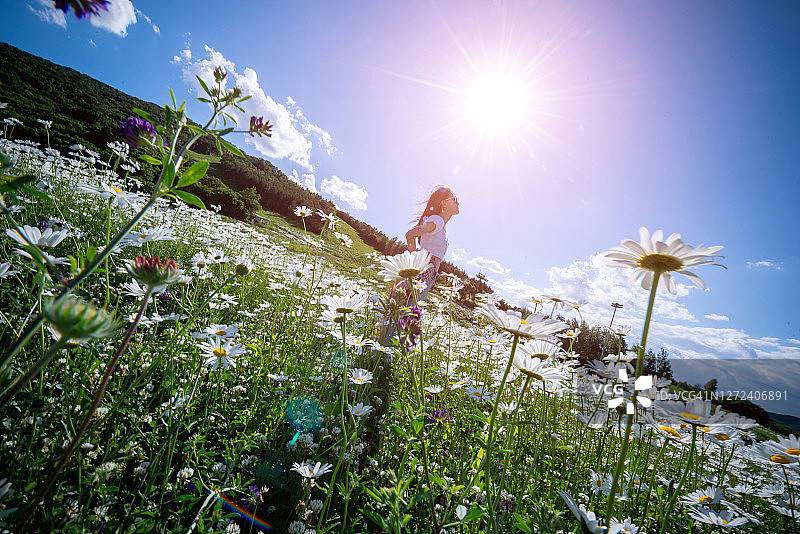 花海中的年轻女孩图片素材