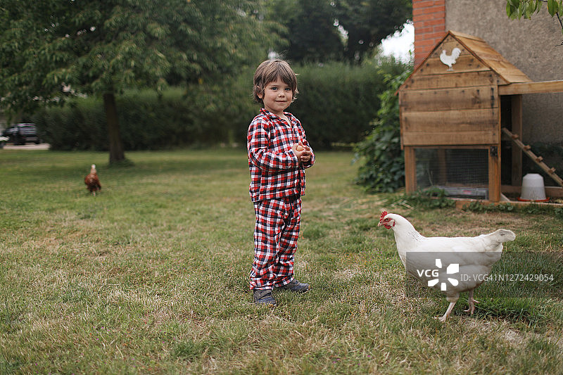 小男孩和他的鸡在花园里合影图片素材