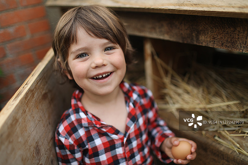 小男孩在鸡舍里捡鸡蛋图片素材