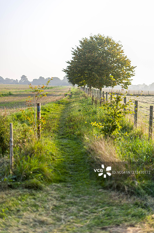 英国肯特郡伊克姆的田野公共人行道图片素材