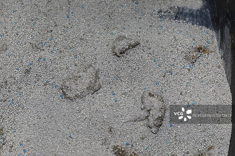 猫砂盆里的动物粪便图片素材