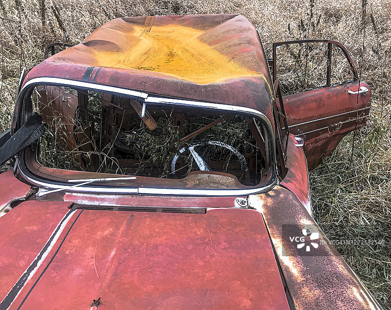 田野中被烧毁的旧车残骸图片素材