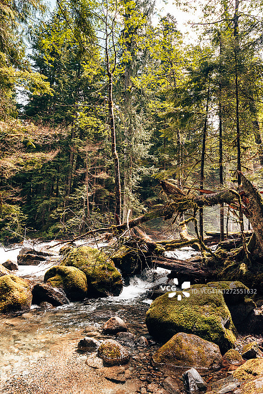 华盛顿州的河流图片素材