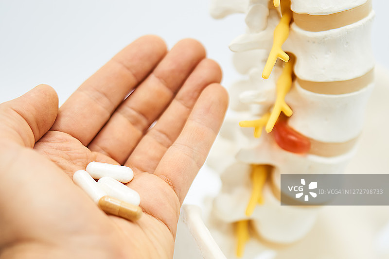 脊柱图片素材