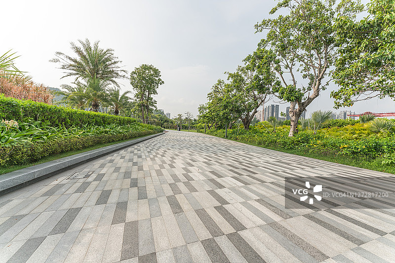 绿色城市中的空旷道路图片素材