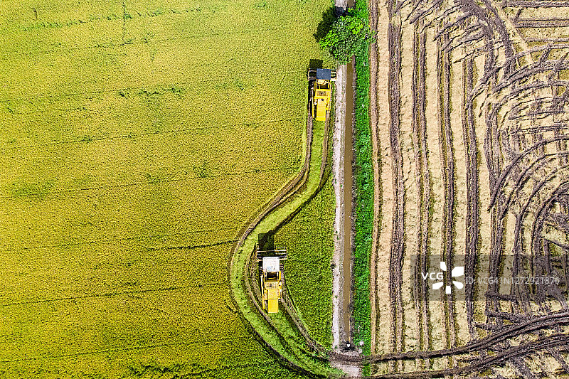 水稻田中工作的收割机空中俯视图图片素材