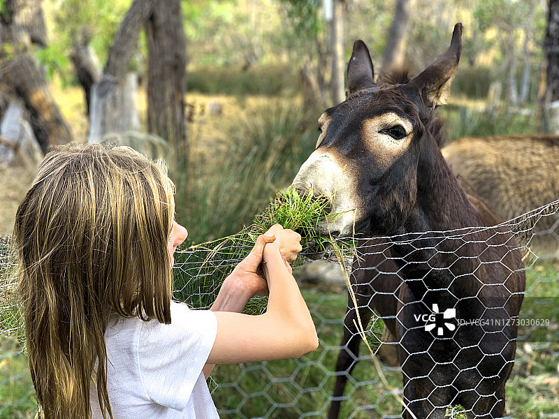 关爱动物图片素材