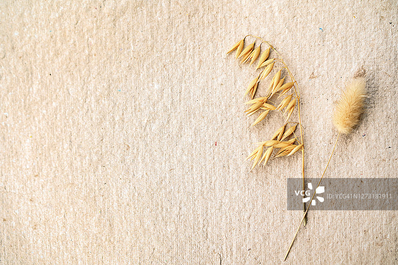 摘要论文背景图片素材