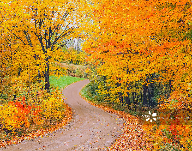 穿过秋季森林的乡村公路，佛蒙特州绿色山脉图片素材