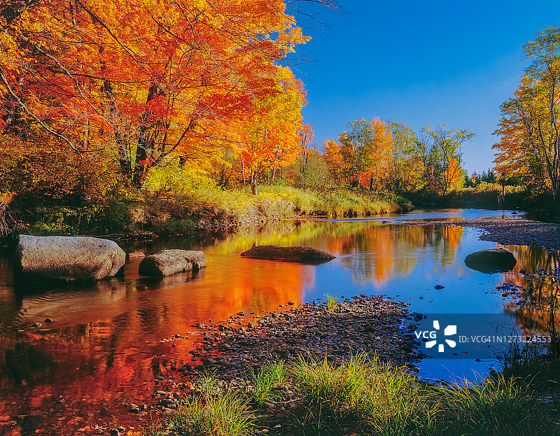 新英格兰秋季乡村风光，威尔斯河畔的倒影，佛蒙特州图片素材