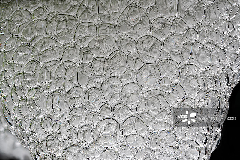 沫蝉的泡沫巢穴图片素材