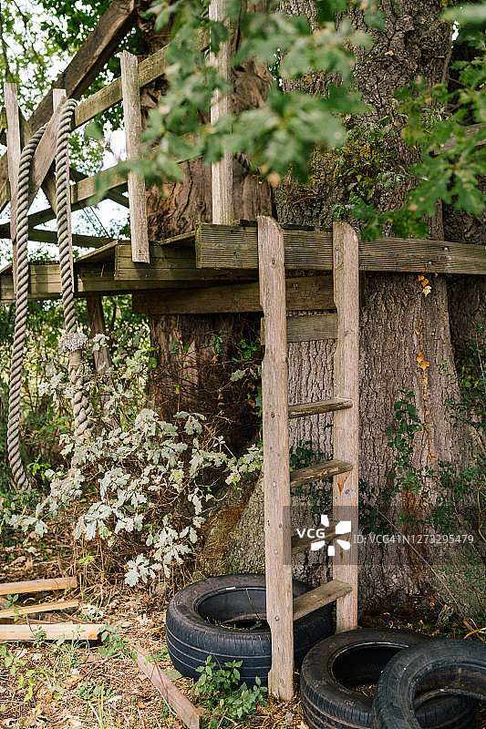 被大自然环绕的树屋图片素材