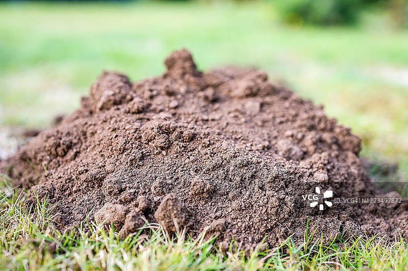 鼹鼠丘图片素材