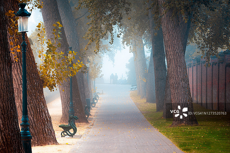 比利时弗拉芒布鲁日林荫道图片素材