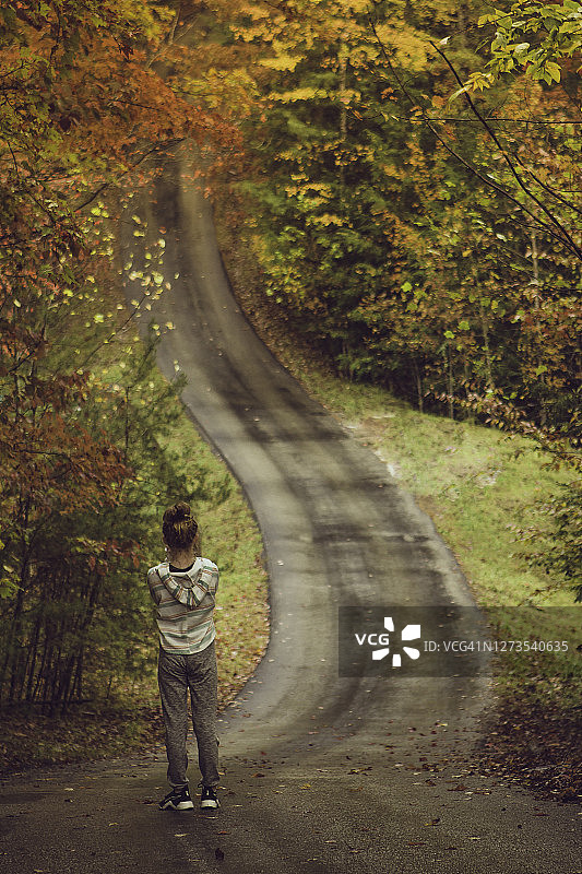 秋天的道路图片素材