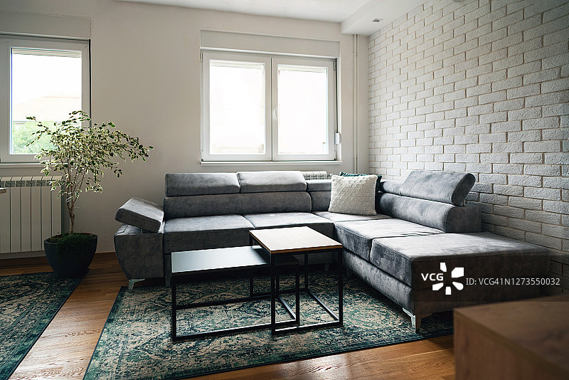 时尚的斯堪的纳维亚风格客厅，现代公寓内景，配有灰色沙发图片素材