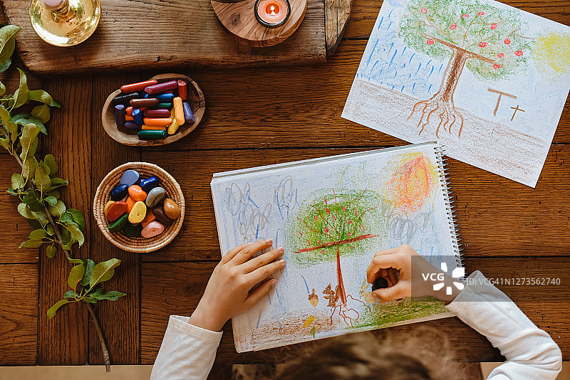 孩子学习书写字母T，联想树木图片素材