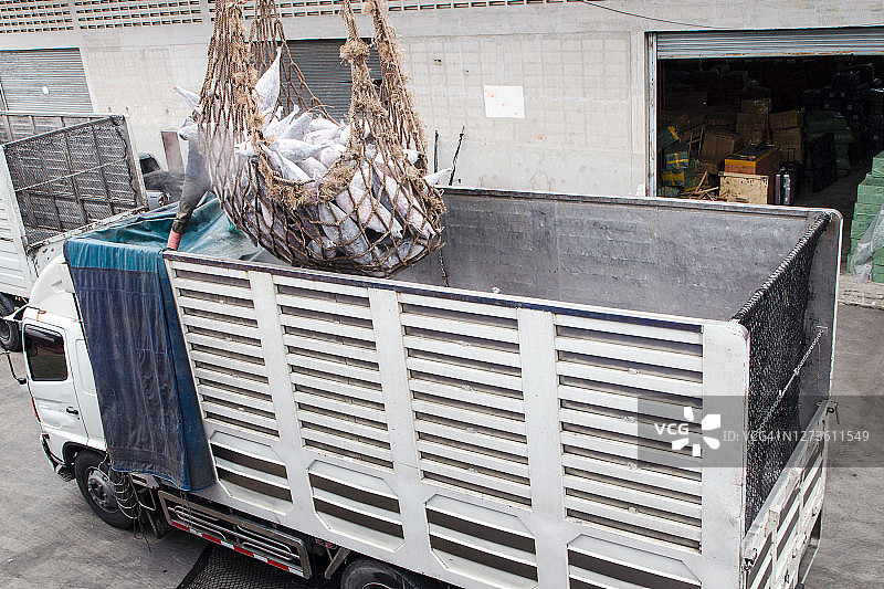 从船上运输鱼图片素材