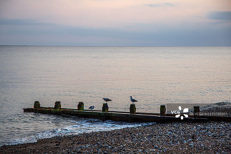 沃辛：眺望海上日落图片素材