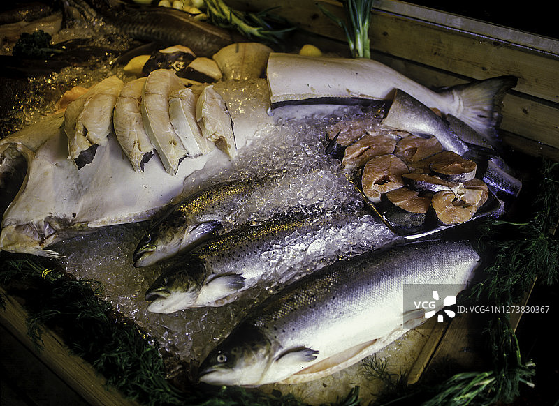 待售的鱼图片素材