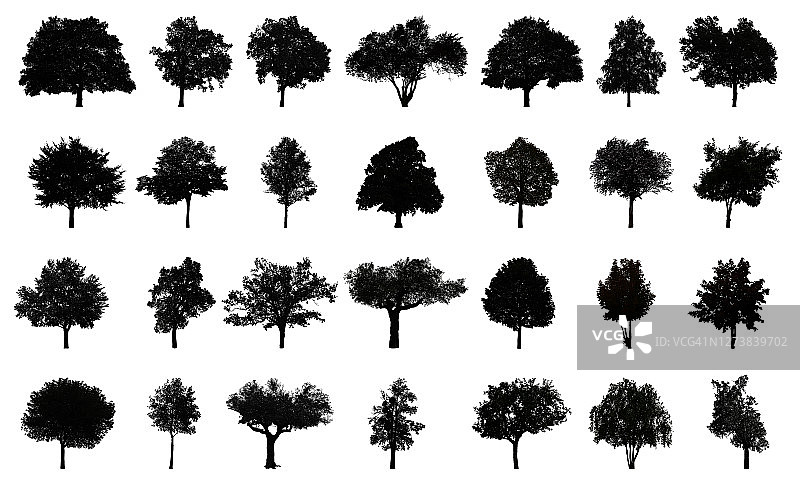 白色背景上的各种黑色树木轮廓图片素材