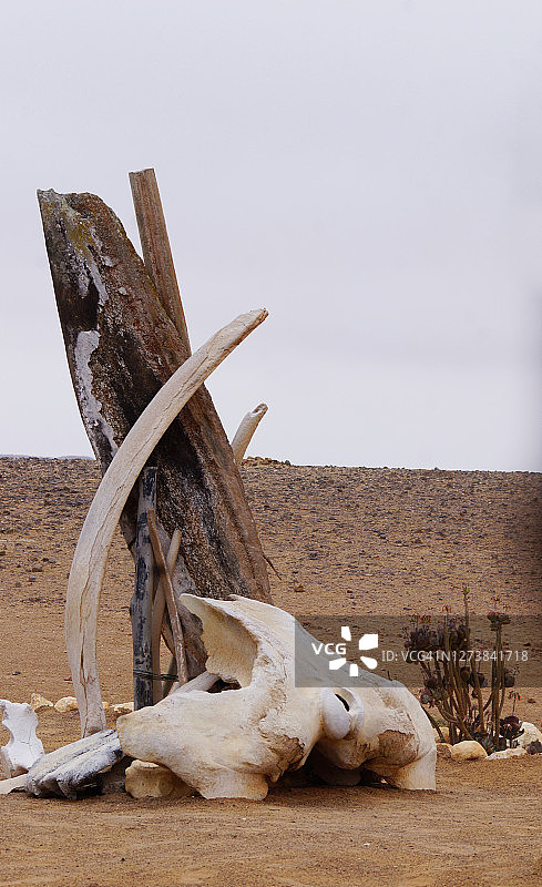 纳米比亚的骷髅海岸国家公园2图片素材