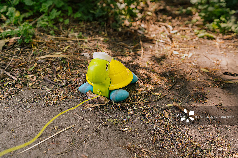 乌龟玩具图片素材