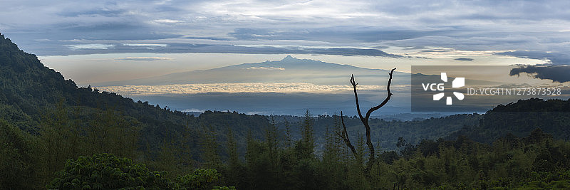 肯尼亚山5199米山顶，从阿伯德尔国家公园眺望图片素材