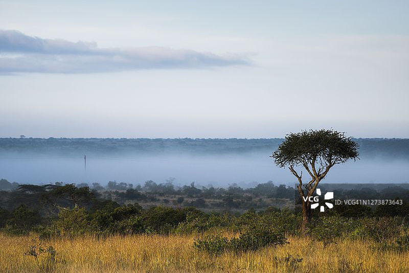 肯尼亚莱基皮亚县索西安牧场图片素材