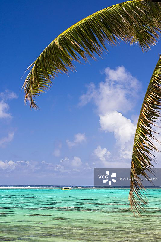 夏季热带岛屿拉罗汤加穆里泻湖的观光船之旅图片素材