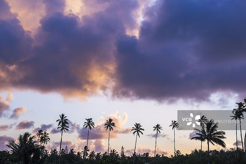 热带岛屿拉罗汤加的棕榈树和日落天空，背景有复制空间图片素材