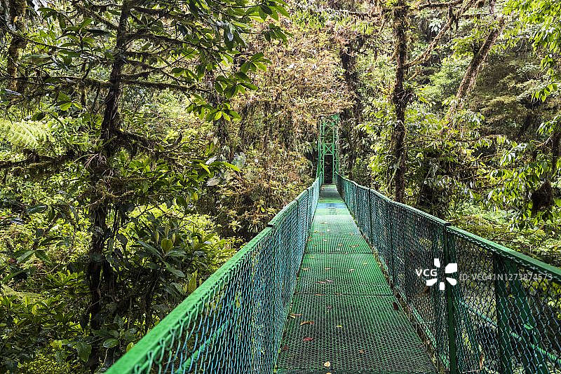 哥斯达黎加蒙特韦尔德云雾森林保护区图片素材