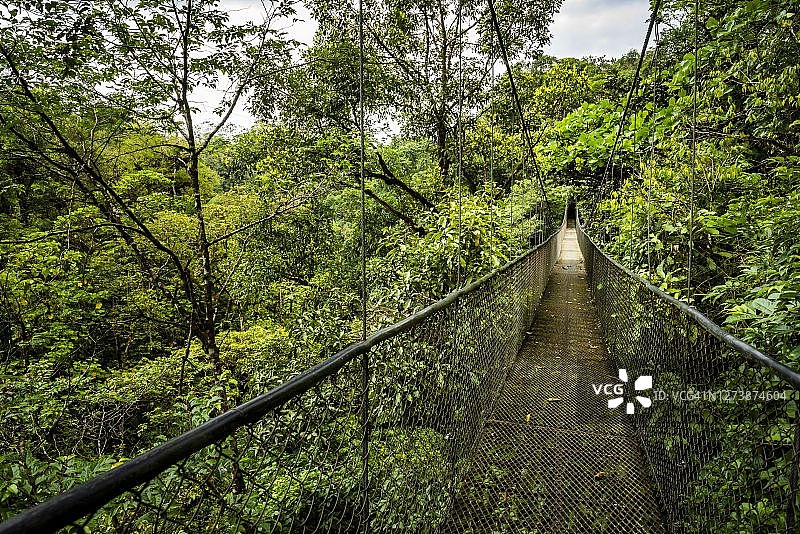 哥斯达黎加阿拉胡埃拉省圣路易斯云雾森林中的吊桥图片素材