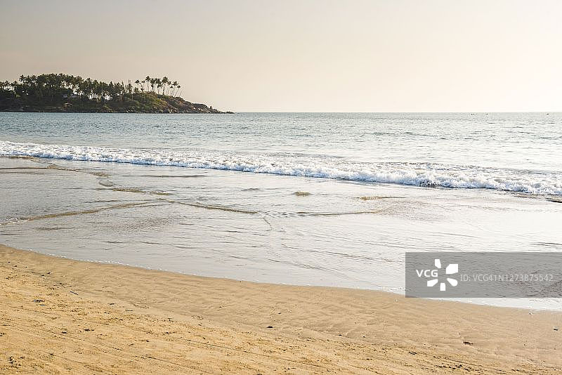 印度果阿邦棕榈树白沙滩图片素材