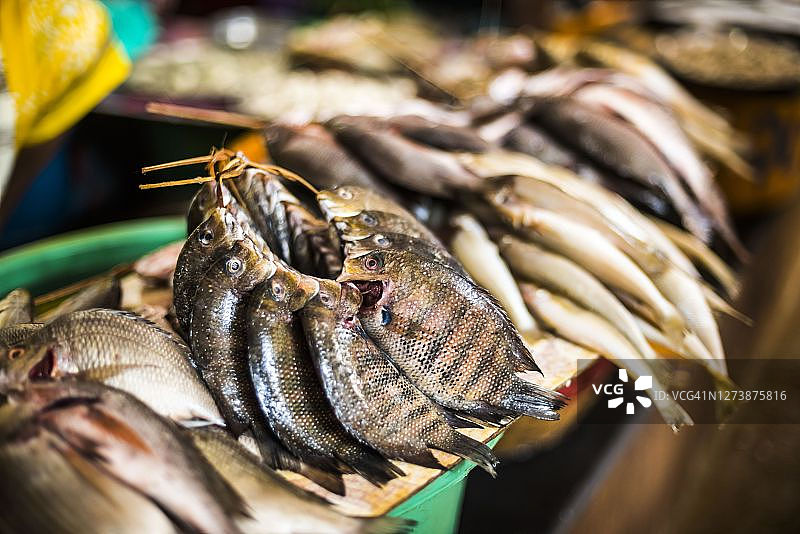 印度果阿邦马普萨市场出售的鱼图片素材