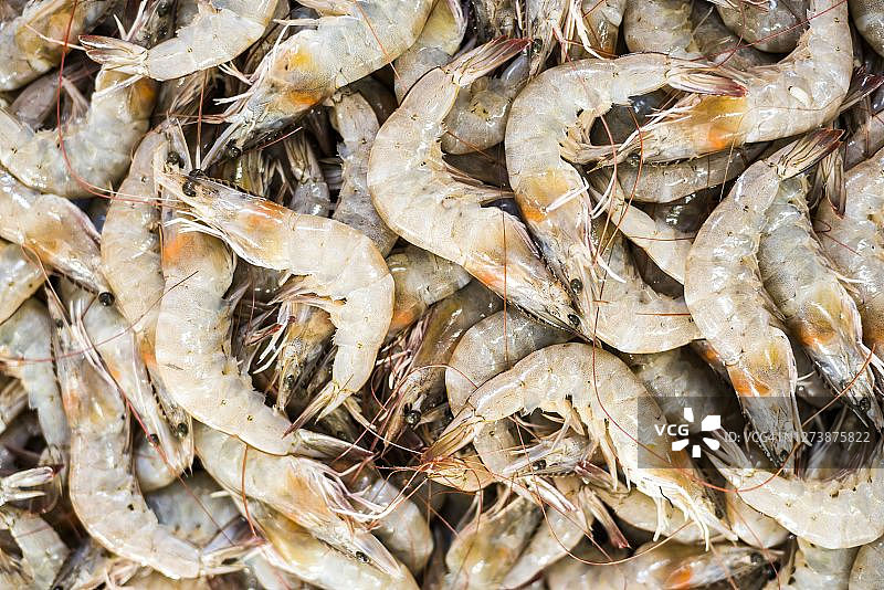 印度果阿邦马普萨市场出售的鱼图片素材