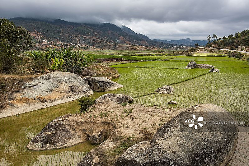 马达加斯加, 马齐亚特拉高地大区, 拉诺马法纳附近的砖瓦工人图片素材