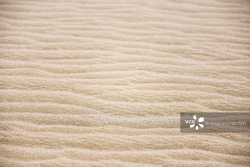 新西兰九十英里海滩蒂帕基沙丘的沙子特写图片素材