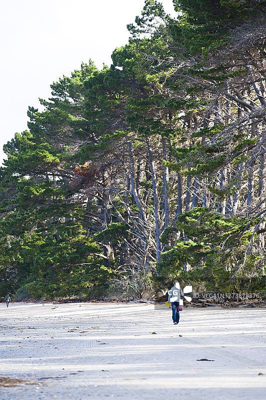 游客沿着新西兰南岛告别沙嘴漫步图片素材