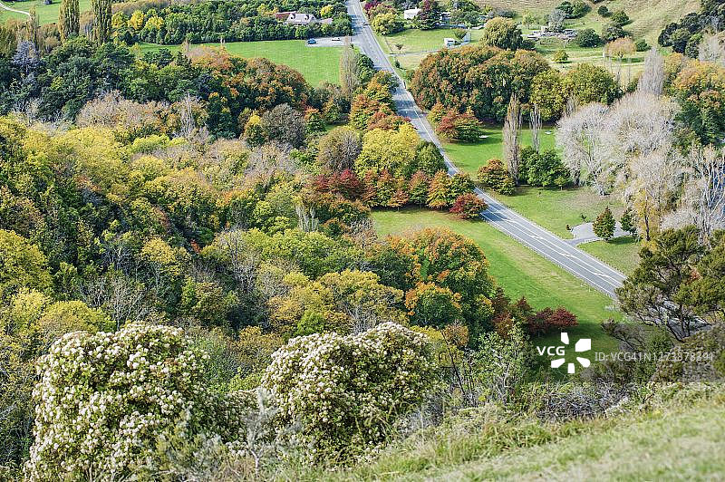 新西兰南岛尼尔森周边的风景如画的景观图片素材