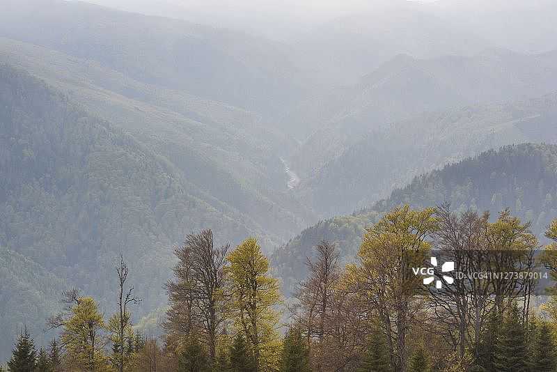 喀尔巴阡山脉秋色：罗马尼亚奥尔特尼亚地区图片素材