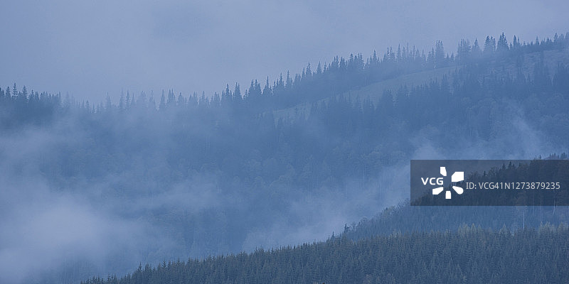 喀尔巴阡山脉奥尔特尼亚地区兰卡黄昏时分的雾 फॉरेस्ट景观，罗马尼亚图片素材