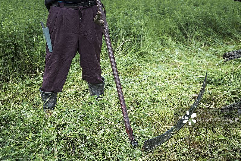 罗马尼亚马拉穆列什用镰刀割草的男人图片素材