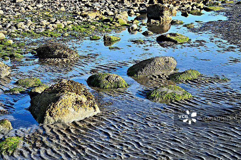 波纹沙图片素材