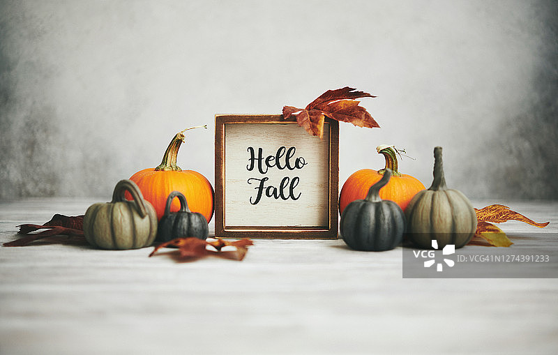 感恩节秋季静物：南瓜、树叶和秋季快乐标志图片素材