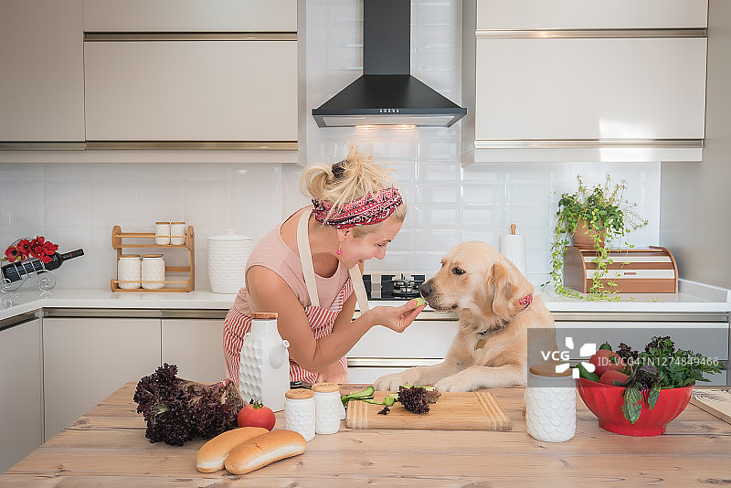系着围裙在厨房餐桌旁喂狗的女人图片素材