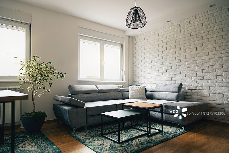 现代公寓客厅室内带灰色沙发图片素材